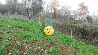 GIARDINAGGIO AL CASALE