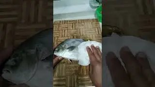 Easy cooking/ steam fish pomfret