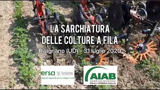 La sarchiatura delle colture a fila