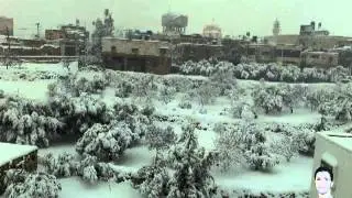 ثلوج بلدة الشيوخ 10-01-2013