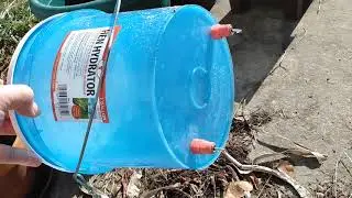 Hen Hydrator watering Review #chickens