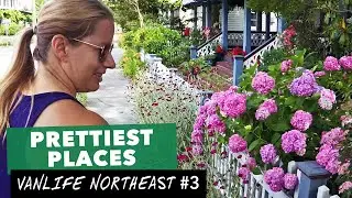 Stealth camping in Cape May, NJ & Longwood Gardens | Van Life Travel Vlog