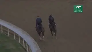 Kilwin (outside) Works at Keeneland - October 18, 2024