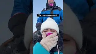 The reality of husky sledding