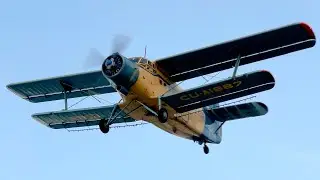 Rare Antonov An-2 in Action! Mosquito Spraying Over Cuba [4K60]