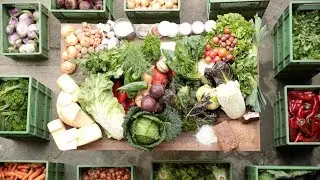 Gemeinschaftsgetragene Landwirtschaft am Luzernenhof (Community Supported Agriculture)