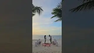A sunset, a rose path, and a forever❣️ #proposalplanner #cancunproposal #proposal #love #engaged