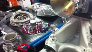 Cold fusion nitrous big dog kit!