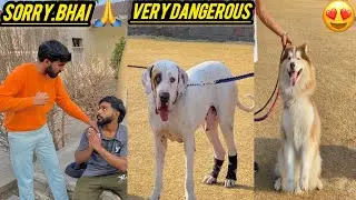 Dog Show Agriculture University…watch full vlog…..👍❤️….