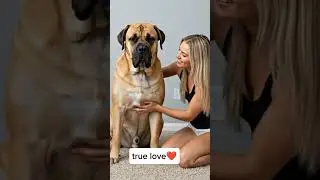 A dog's pure love #doglove #puppy #animallife #funnyanimal #funnydog #doglife #doglove #dog #dogs