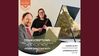 Sonate for Viola Da Gamba in B-Flat Major, BWV 1027: II. Allegro Ma Non Tanto