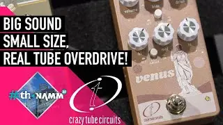 NEW Crazy Tube Circuits Venus Tube Overdrive |&nbsp;#ThoNAMM25