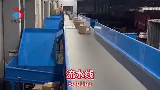 VAPI parcels sorting system with automatic parcels separated machine.