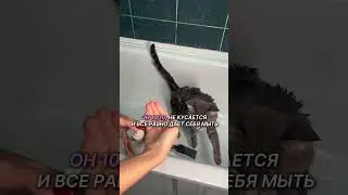 Артикул на зубную пасту с ВБ#WW248381 [Копируй вместе с буквами WW и вставляй на вб]