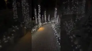 Christmas @ Center Parcs Longford Forest #christmas