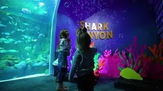 Let's Glow Play: Mini Golf at Union Station - Sony A7S III + DJI Mavic 3