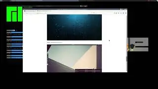 Customize Awesome WM 4 - Pt. 1 - Copy the Cats