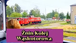 Kolej Wąskotorowa Żnin Trasa 2.5h