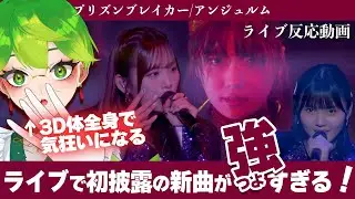 【 アンジュルム 】武道館初披露の新曲を見て、3D体で狂うヲタクが見れる動画【 プリズンブレイカー #vtuber 天福もだん 】