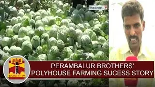 Perambalur Brothers' polyhouse farming success story | Thanthi TV