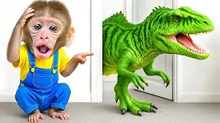 Cute Park Adventure 🌳🐒 Baby Monkey with Funny Ducks #funnymonkey #monkeyworld #kiki