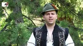 Marius  Dochita  -  Taraneasca  ii  joc  iuti