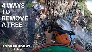 4 Tree Removal Methods - See Us In Action! | Independent Tree, Northeast Ohio