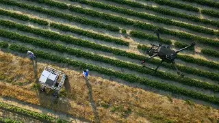 Biosystems Engineering - Department of Agricultural & Biological Engineering