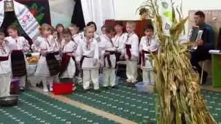 La SEZATOARE, grupa mare 