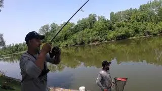 PESCA de CARPAS 2da parte del torneo TEAM CHATO vs PONTE TRUCHA CHICAGO y los ganadores SON??