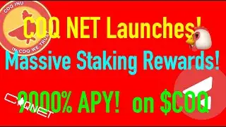 Coqnet Is HERE! Avalanche's First Meme Coin Blockchain with 9000% APY Staking 🚀