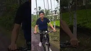 Real tea plant of assam