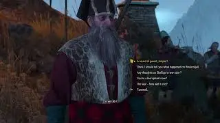 Witcher 3 The Wild Hunt