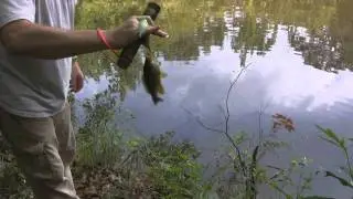 The Hobo Fishing Kit