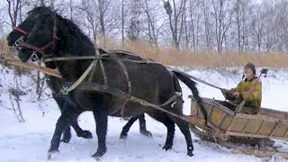 KONIE SANNA 2025