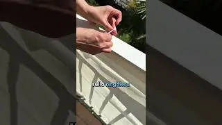 Aumenta la privacy sul balcone ☀️ | PRODOTTI UTILI PER IL BALCONE