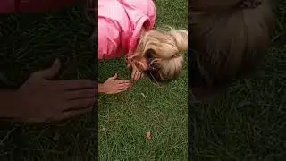 Калистеника💪 Бриллиантовые отжимания. Fitness Fusion. Brilliant push ups save Ukraine now, stop war