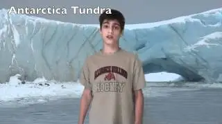 Tundra Biome Alien Invasion