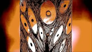 MONTAGEM DAS UNIVERSOS ( super slowed &  reverb ) , DJ FLG