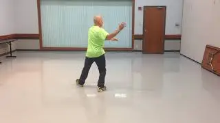 Stephen Elliott performing Traditional Yang Style With Symmetry