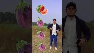 Watermelon, lichi, mango & grapes -rounding brinjal - fruits name magic video