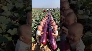 Cute Babies Playing | Beta Babies #cutebaby
