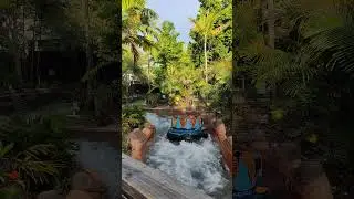 Infinity Falls SeaWorld Orlando Florida