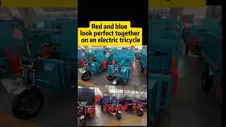 Heavy Duty Loading 1500W motor, steel wire tires #auto #car #electrictricycle #trike  #motorcycle