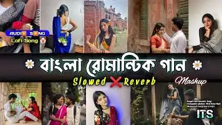 Bengali Romantic Song🌼💕 || Lo-fi Song [ Slowed & Reverb ] Bengali Lo-fi Song 🎧