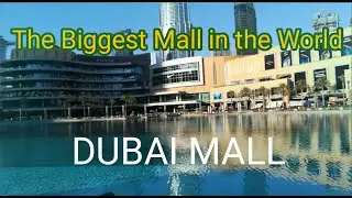 THE DUBAI MALL | Dubai, United Arab Emirates