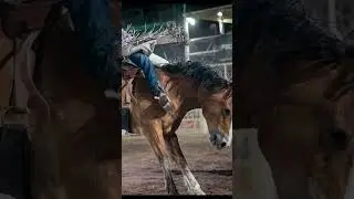 Relocating to Phoenix?
