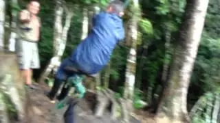 Tree Swing