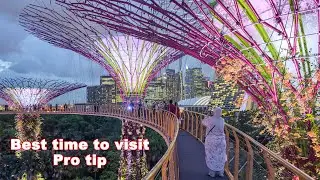 Gardens By the Bay  - OCBC Skyway