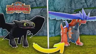 I CAUGHT LEGENDARY KORAIDON IN DRAGON SCHOOL!